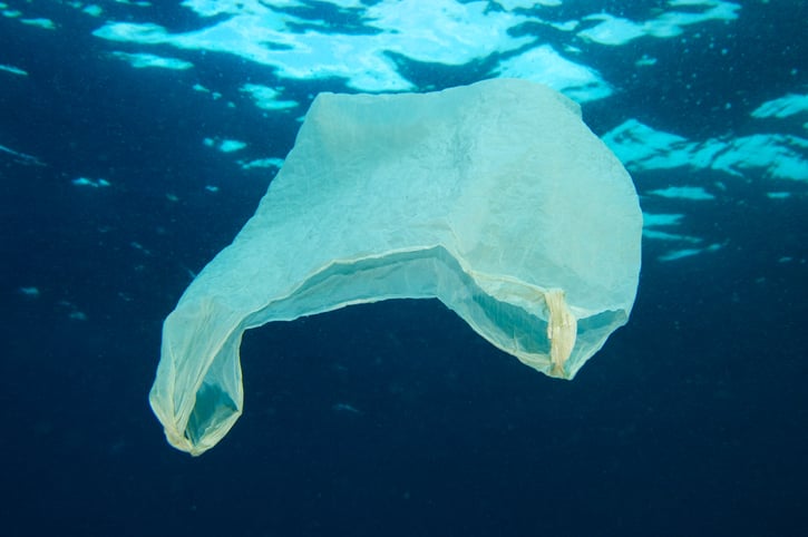 Efeitos da proibição de sacolas plásticas já são percebidos no litoral do Quênia